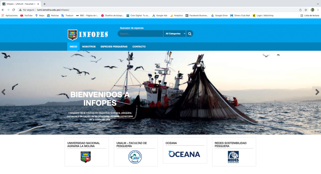 Lanzan Infopes, plataforma digital sobre especies del mar peruano